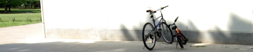 Random header image... Refresh for more!
